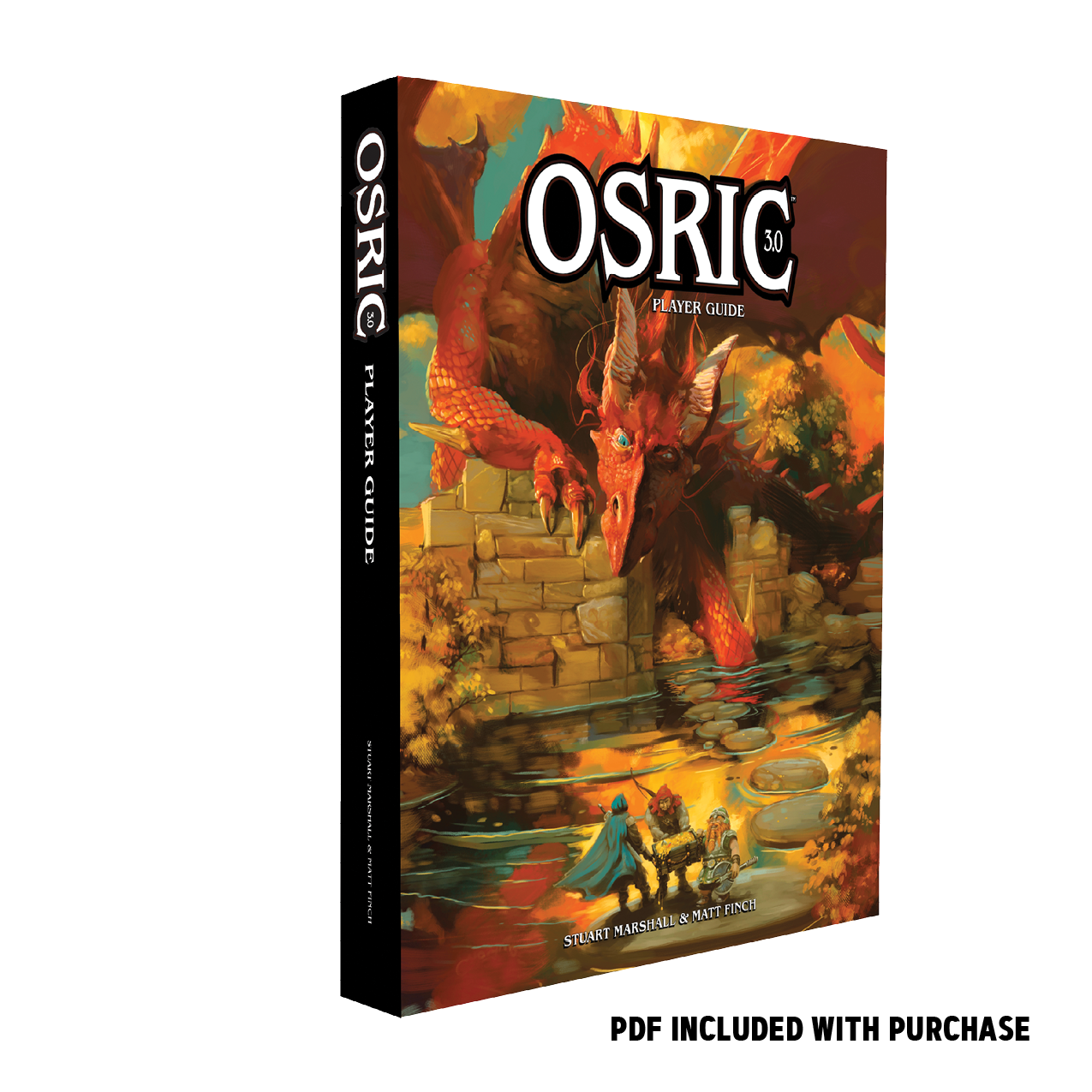 OSRIC Player Guide - Portrait